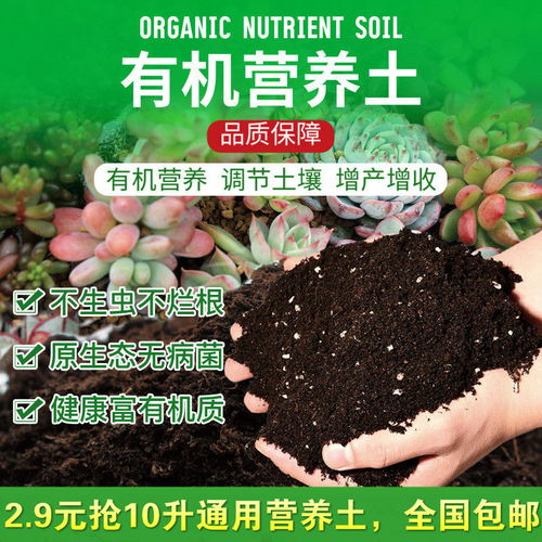 果树苗强效专用有机肥保花保果肥蔬菜瓜果营养土肥料花卉通用
